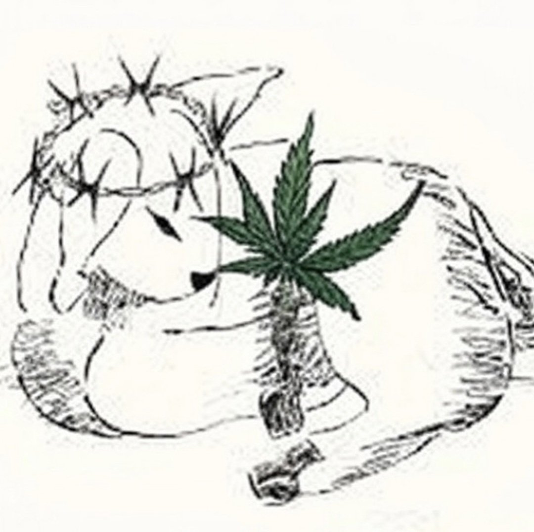 Tomnyalus (@tomnyalus01) on Twitter photo 