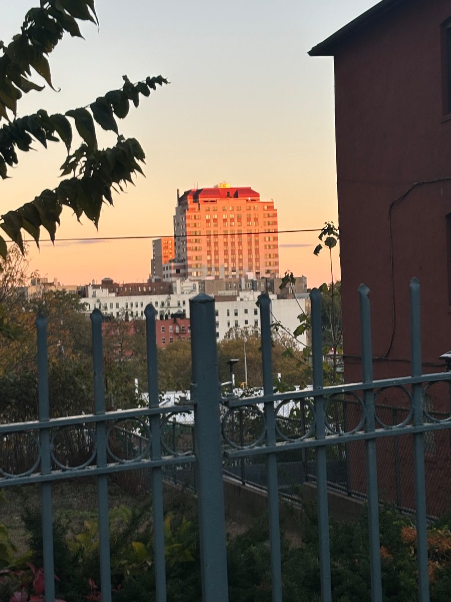 ELEIANET tweet media