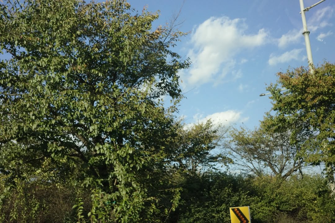 haru❀ haru pics on X