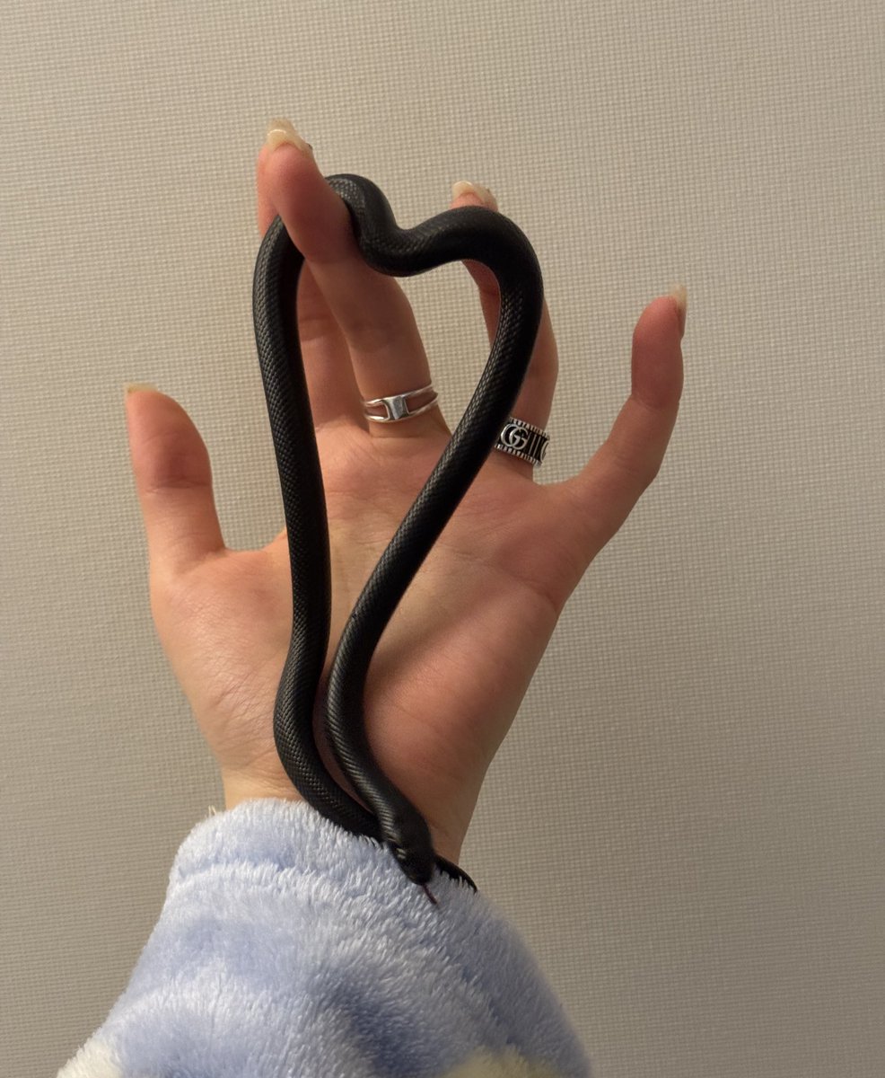 먹물이한테 고백받았서요