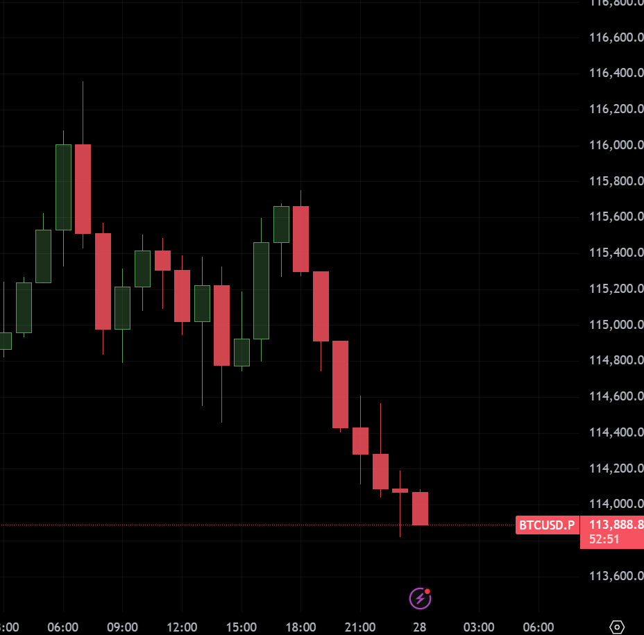 Enguin 🐧 tweet media