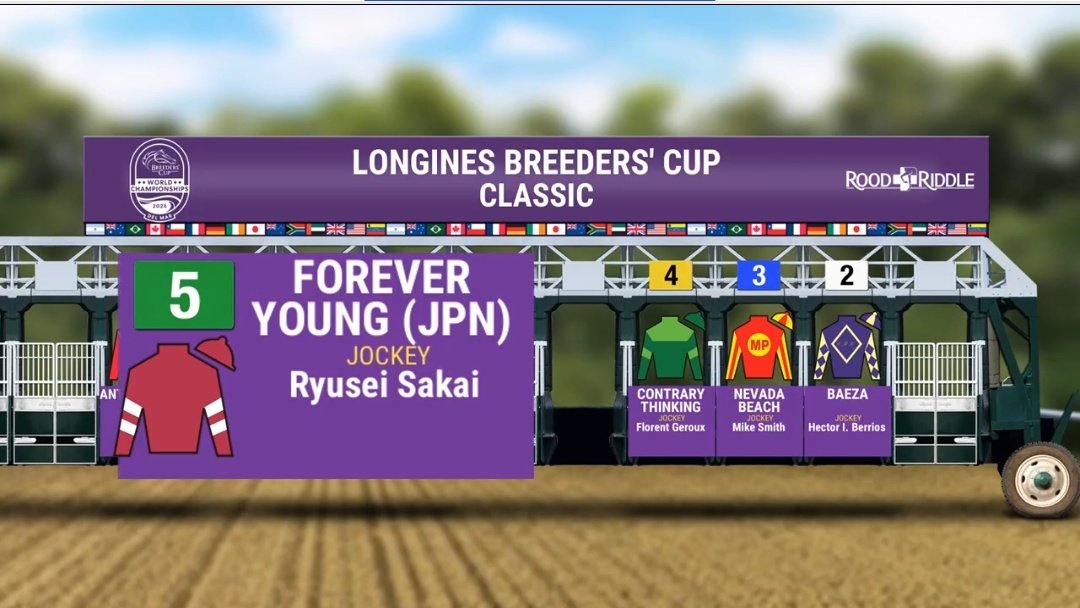 詩芭-シバ-ページ シバ on X