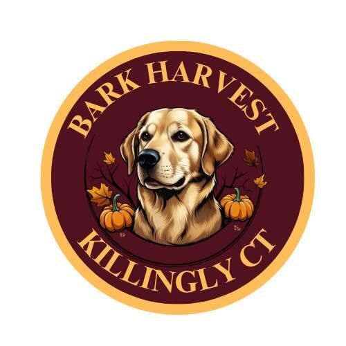 SistersInBiz's tweet image. Killingly Business Association (KBA) excited to host the first Bark Harvest
Sunday, November 2
12 PM to 4 PM
350 Hartford Pike #Killingly #CT
This festival invites pets&amp;amp; people for a fun afternoon supporting local animal shelters
Information: buff.ly/1fPV3el #Connecticut