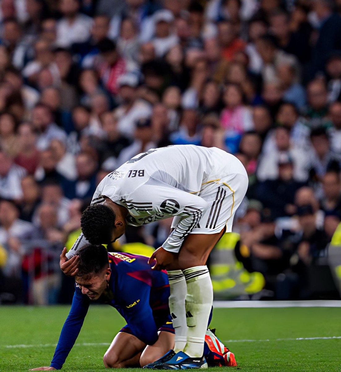 RMCF_Minuto93's tweet photo. 💥クラシコでの口論

ベリンガムがペドリにファウル
　　　　　　↓
ペドリがベリンガムの退場を要求
　　　　　　↓
エンバペ『レッドカードじゃねぇよ』
　　　　　　↓
ベリンガム『ネグレイラがいても退場はない』

ソース @MovistarFutbol https://t.co/aN3yETFd80