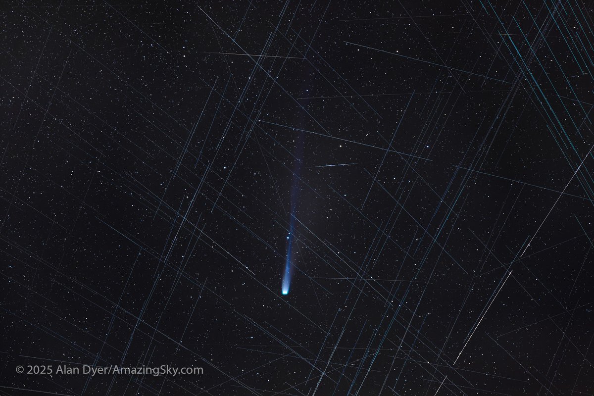 amazingskyguy's tweet image. Three views of Comet Lemmon #cometlemmon (C/2026 A6) from Oct 26: wide in the evening twilight above Arcturus, and a telephoto closeup, without satellites (subtracted via stacking) &amp;amp; with the many satellites that crossed the field in 20 min., most #Starlink. Details in Alt Text