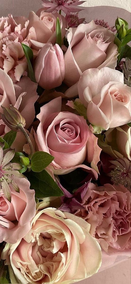 椎名りつ子(𝑅.𝑆𝐻𝐸𝐸𝑁𝐴)/Manga Artist♥Kindle連載中♥️ on X