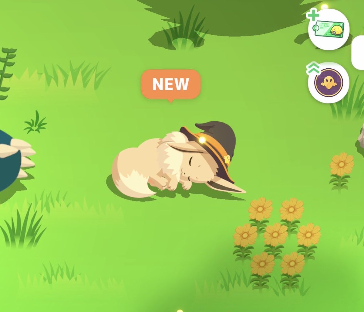 いきなり色違いで登場の
ハロウィンイーブイ🐶 #ポケスリ