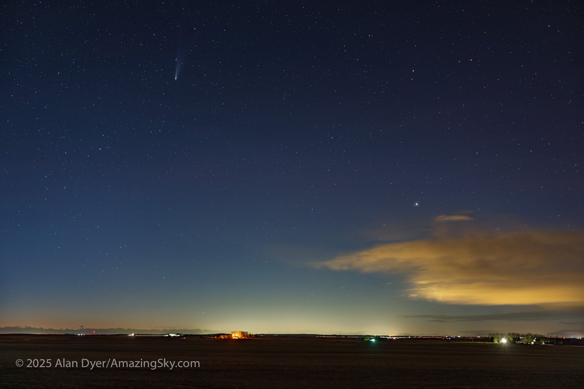 amazingskyguy's tweet image. Three views of Comet Lemmon #cometlemmon (C/2026 A6) from Oct 26: wide in the evening twilight above Arcturus, and a telephoto closeup, without satellites (subtracted via stacking) &amp;amp; with the many satellites that crossed the field in 20 min., most #Starlink. Details in Alt Text