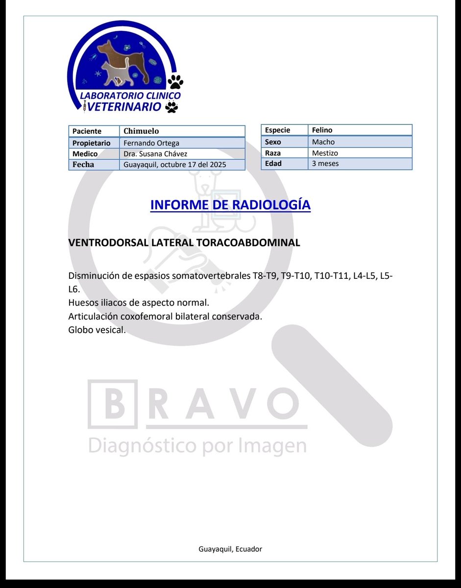 javiortg's tweet photo. @DefensoresAn @Cdla_Guayacanes @aquilesalvarez @taticoronelf @181Responde @Proanimal_gye @alcaldiagye @segura_ep Ante las difamaciones del señor @JorgeGrijalvaP1 emito un comunicado de lo que pasó, día a día, ésto lo hago para que otras personas no sufran la pérdida de su mascota, ellos forman parte de la familia, no son un simple animal. https://t.co/E7mTqAUVFn