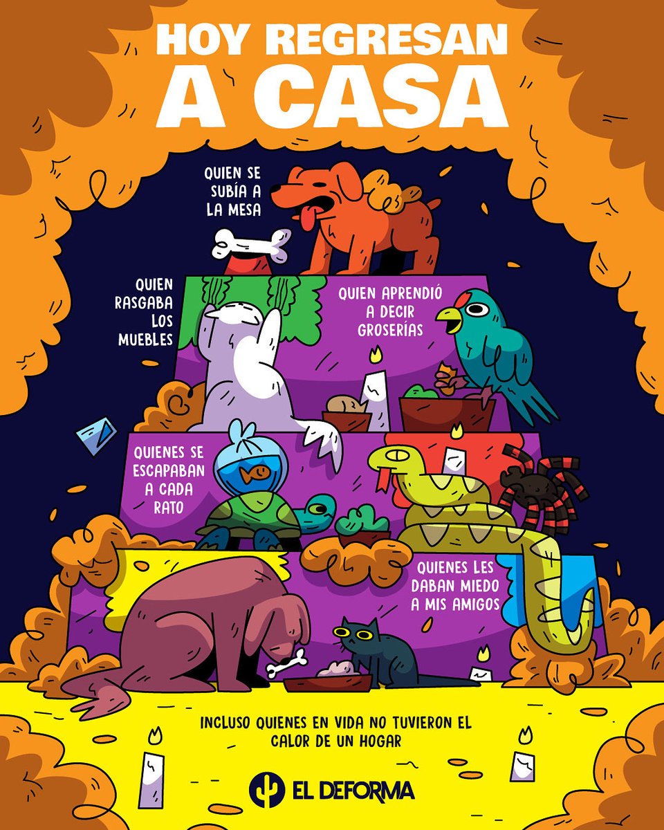 Bienvenidas de vuelta 🐈🐕🕯️