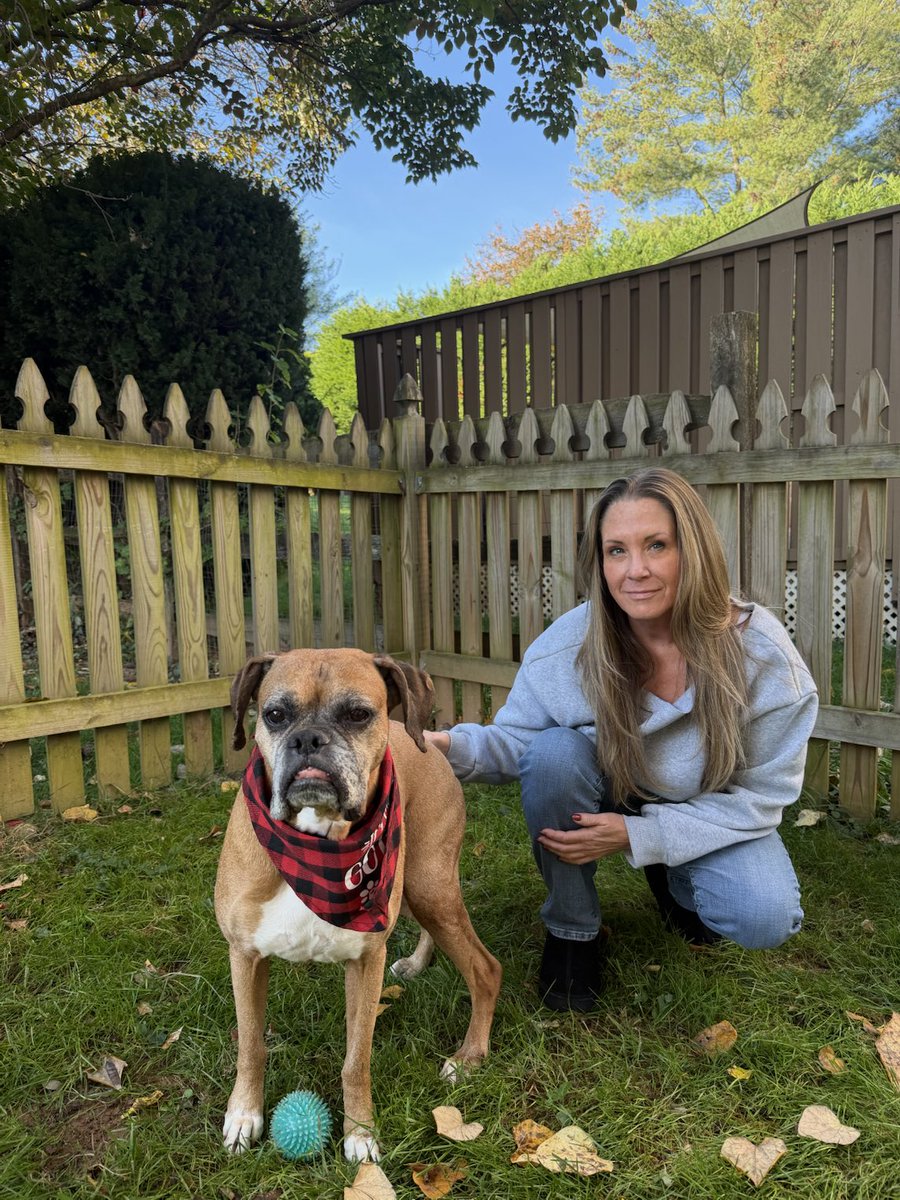 We love a weekday #adoption. Roscoe had it rougher than most. Hit by a car in a rural town in MS. He lived on a dirty mattress in an abandoned home. We heard his story we had to help. #boxerdogs #afostersavedmylife #boxerdoglover #rescuedogs #adoptdontshop #rescuedogsofx #dogs