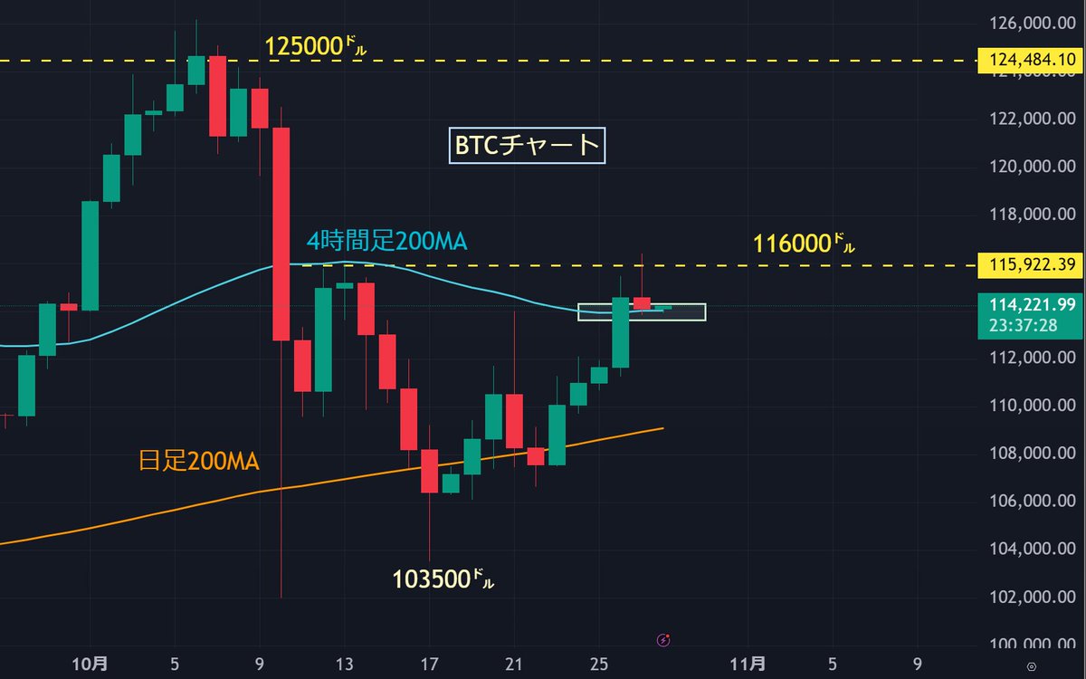 怒涛の撮影スケジュール MEMちょ　SEC+ ホビーステーションシングル通販店 / 怒涛の撮影スケジュール