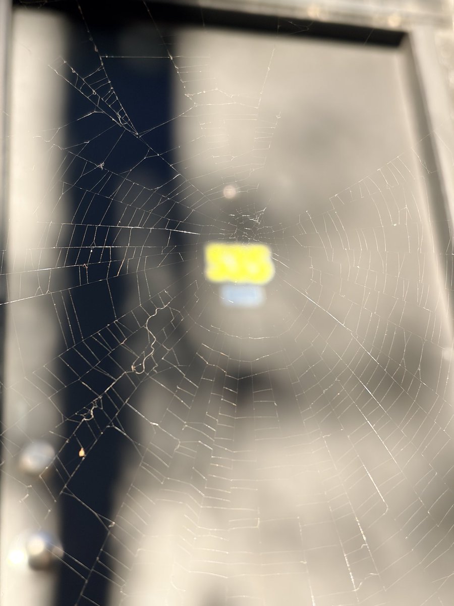 andrew_reset's tweet image. Everyone is building at @535TORONTO these days 👀