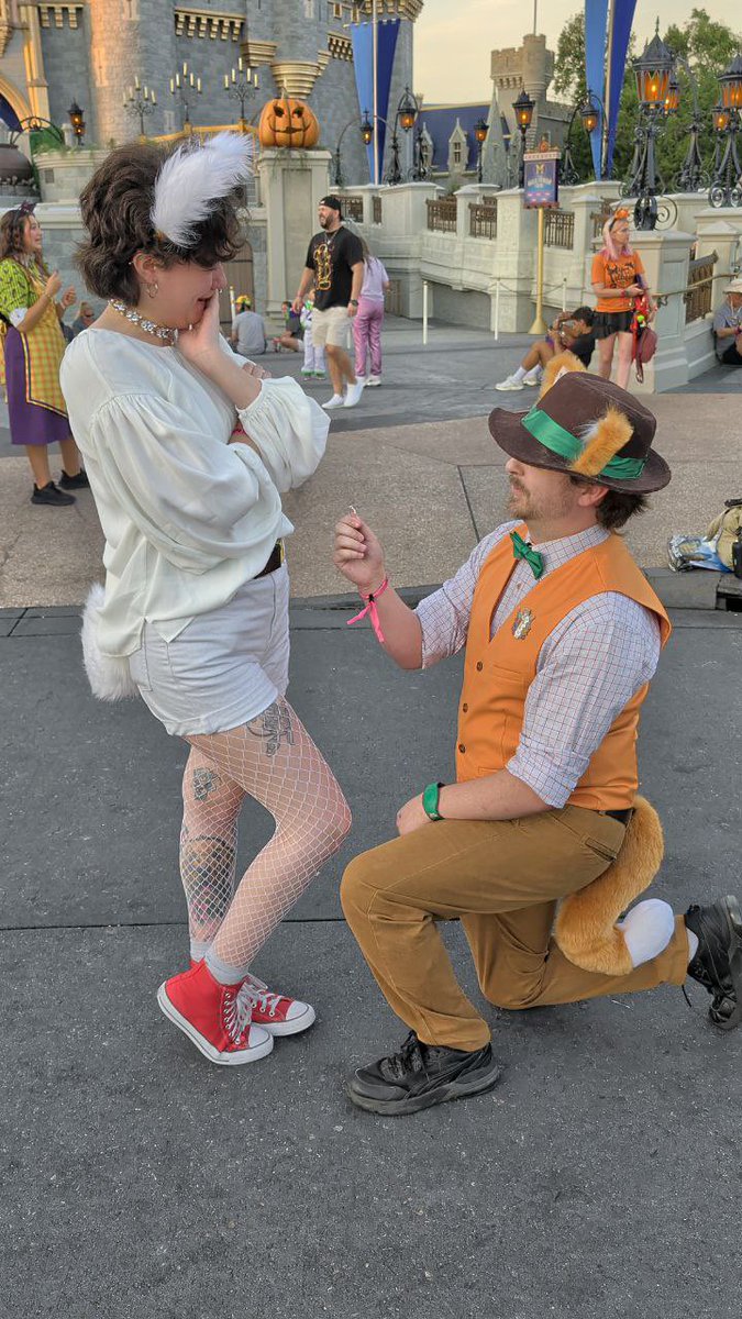 moose 🔜 MFF tweet media