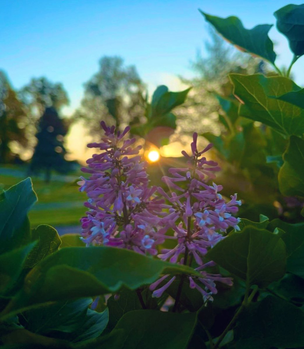 Nothing would be…
If there was not you…