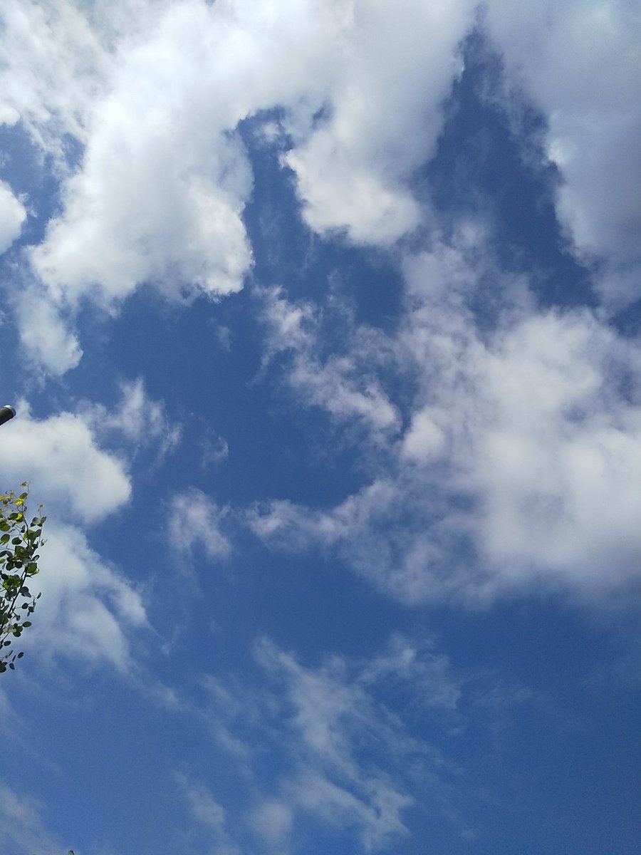 今日の空
この後曇りか