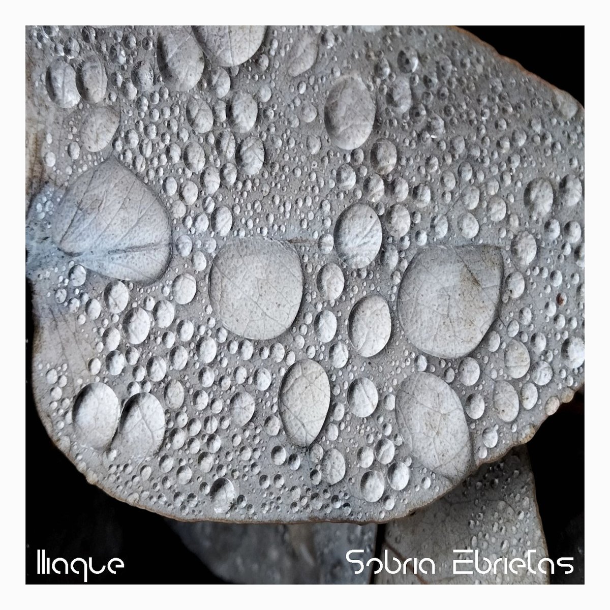 Enough Records tweet media