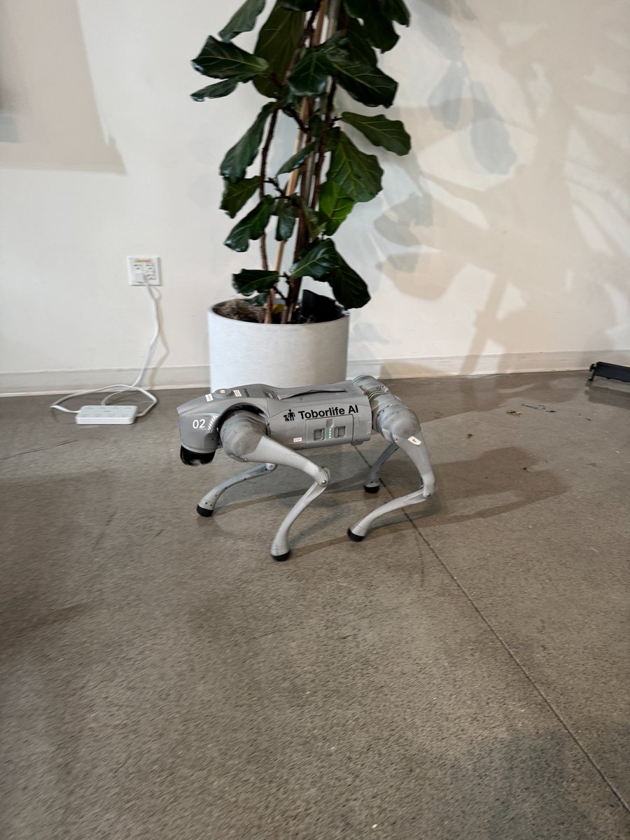 Techweek_'s tweet image. Robot-puppy yoga happened at SF Tech Week this month. It was good. Next year: robot sound baths. @swissnexSF @swissnexNetwork