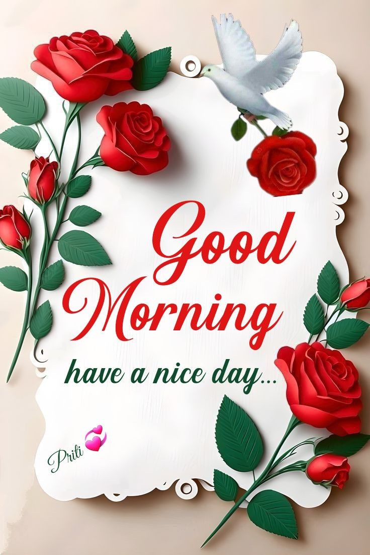 🙏जय जय माता रानी की🙏
🌹सादर शुभ प्रभात मित्रों🌹
GOOD MORNING DEAR FRIENDS