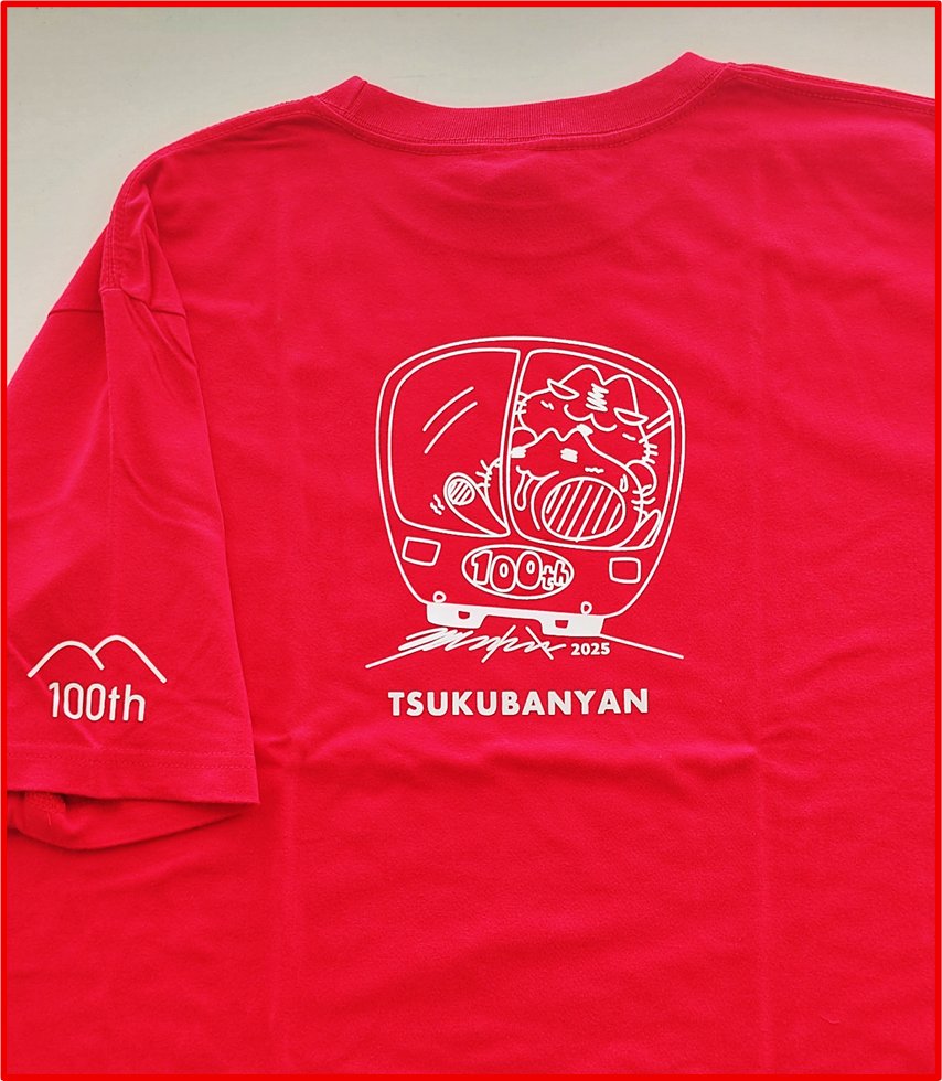 完売 限定 旅行土産✩.*˚ ありがとうございます！ 筑波観光鉄道