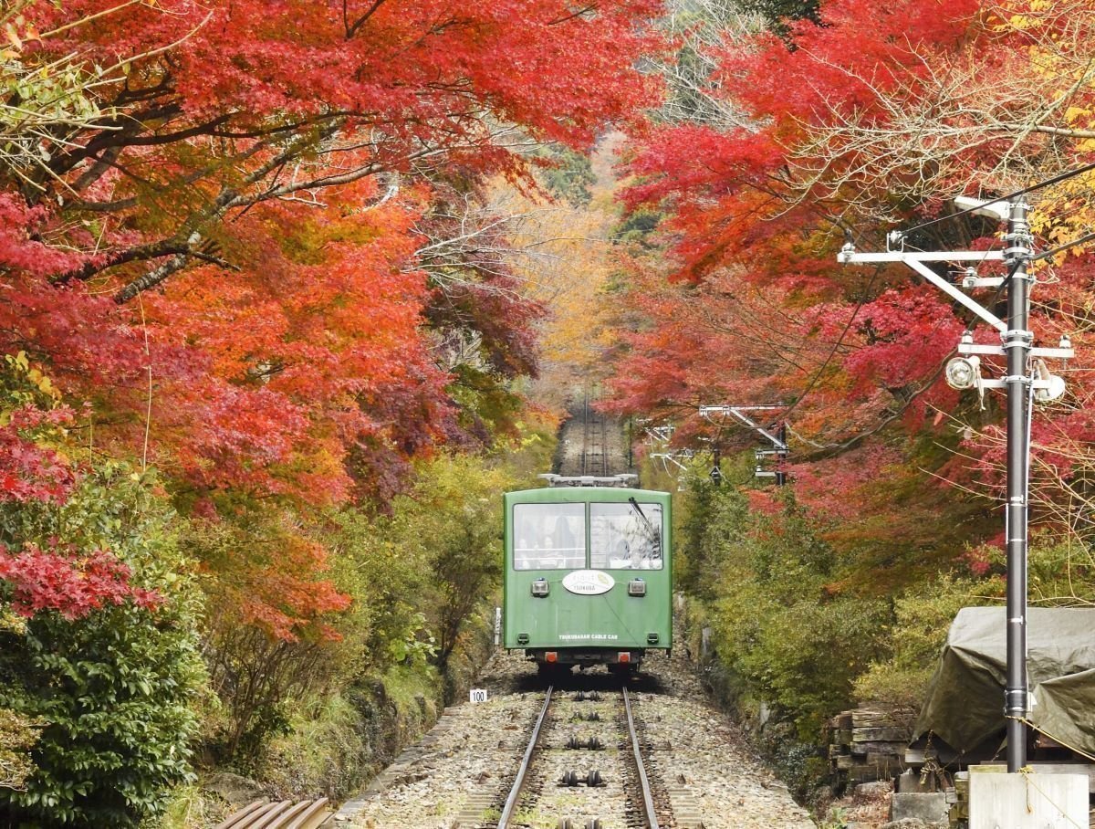 いばナビのかえっぺ【公式】 on X