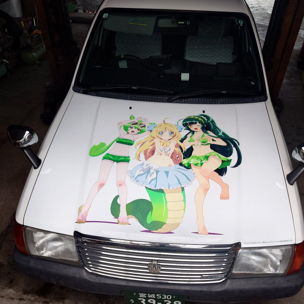 ねこまんまです。 ねこまんまです。 ねこまんま (@Shachiku563) / X