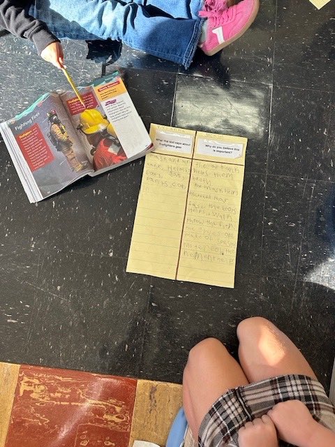 Students in Mrs. Ricciardi’s 2nd grade class analyzed an infographic from My View to interact with this source in a meaningful way. They used a graphic organizer to write what the text says and why they believe it is important. Way to go, Mrs. Ricciardi’s class! ✍️💭💡