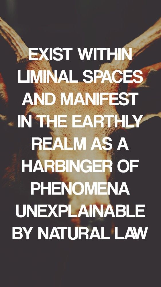 ⋆TყɳɳLყȥȥι⋆ tweet media