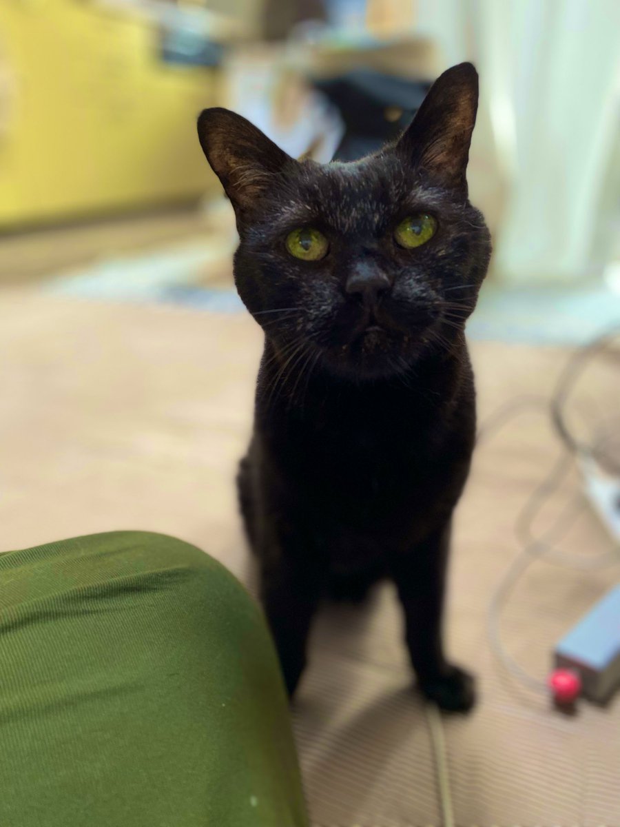 宝屋@たまに怪談 on X