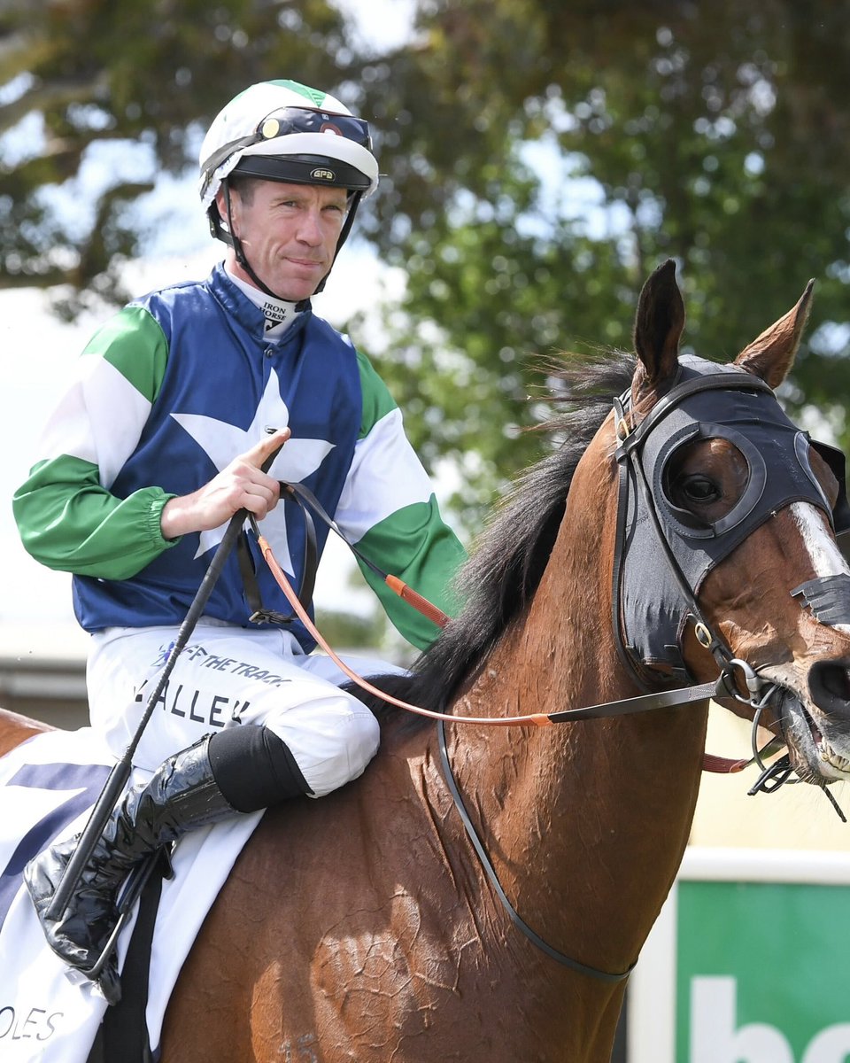 Country_Racing's tweet photo. Johnny Allen rides FOUR winners at @SwanHillRaces today 👑 

#AsRealAsItGets https://t.co/8hgn3yWU9f