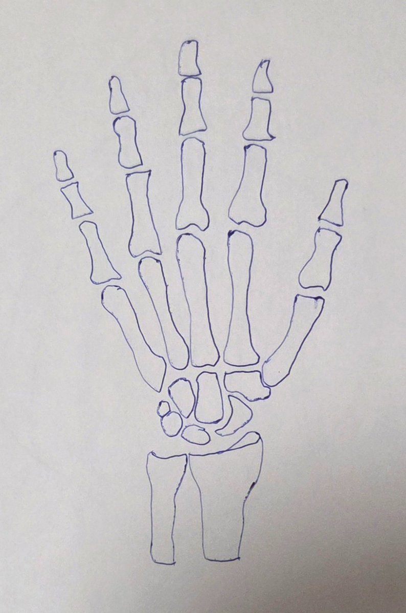Day 28 - Skeletal #Inktober2025