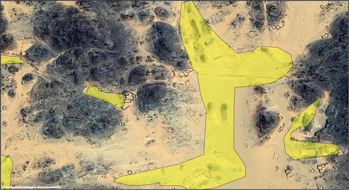 Atbai Survey Project مشروع مسح ايتباي tweet media