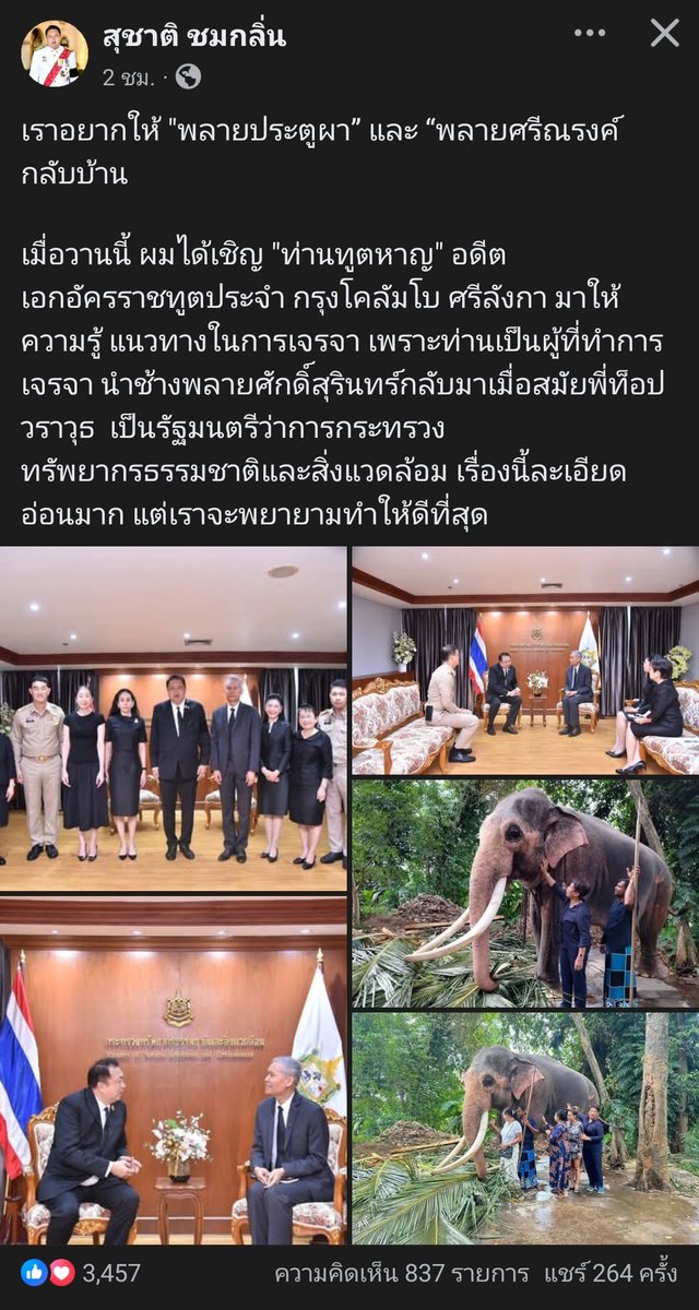 นางฟ้าของผลิต tweet media