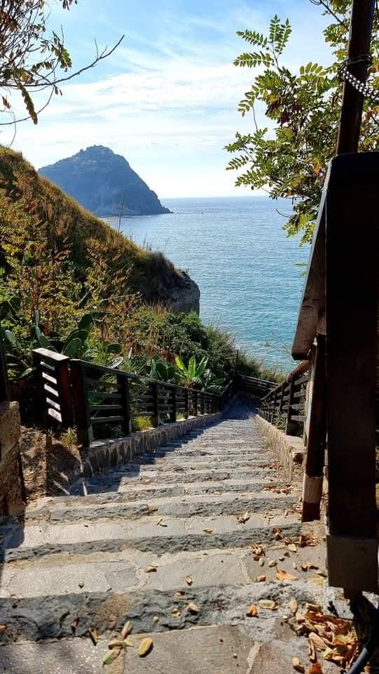 Ci sarà sempre qualcuno che non comprenderà una tua scelta. Ma si sceglie per proseguire, non per essere compresi.

Buongiorno vita! 💙

#ischia