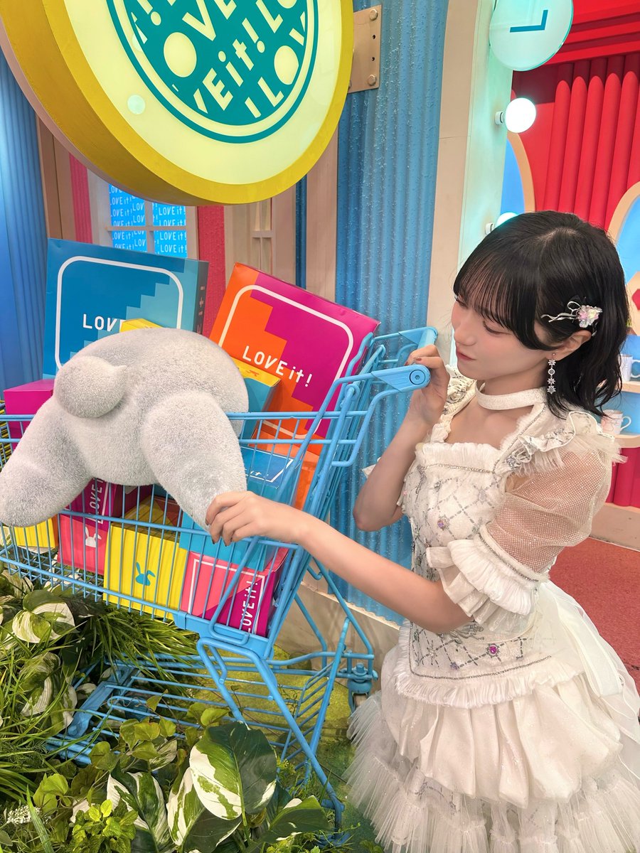 ハッピーガール（感謝）/2 はっしー(即レス) (@Hassy_Girls2) / Posts / X