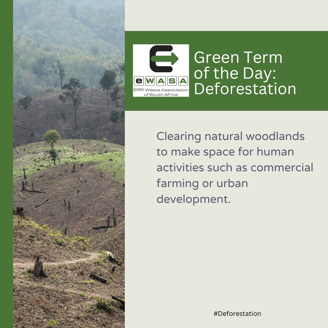 eWASA_'s tweet image. Deforestation strips the earth of its natural defences. 🌳
#eWASA #ClimateAction #Deforestation