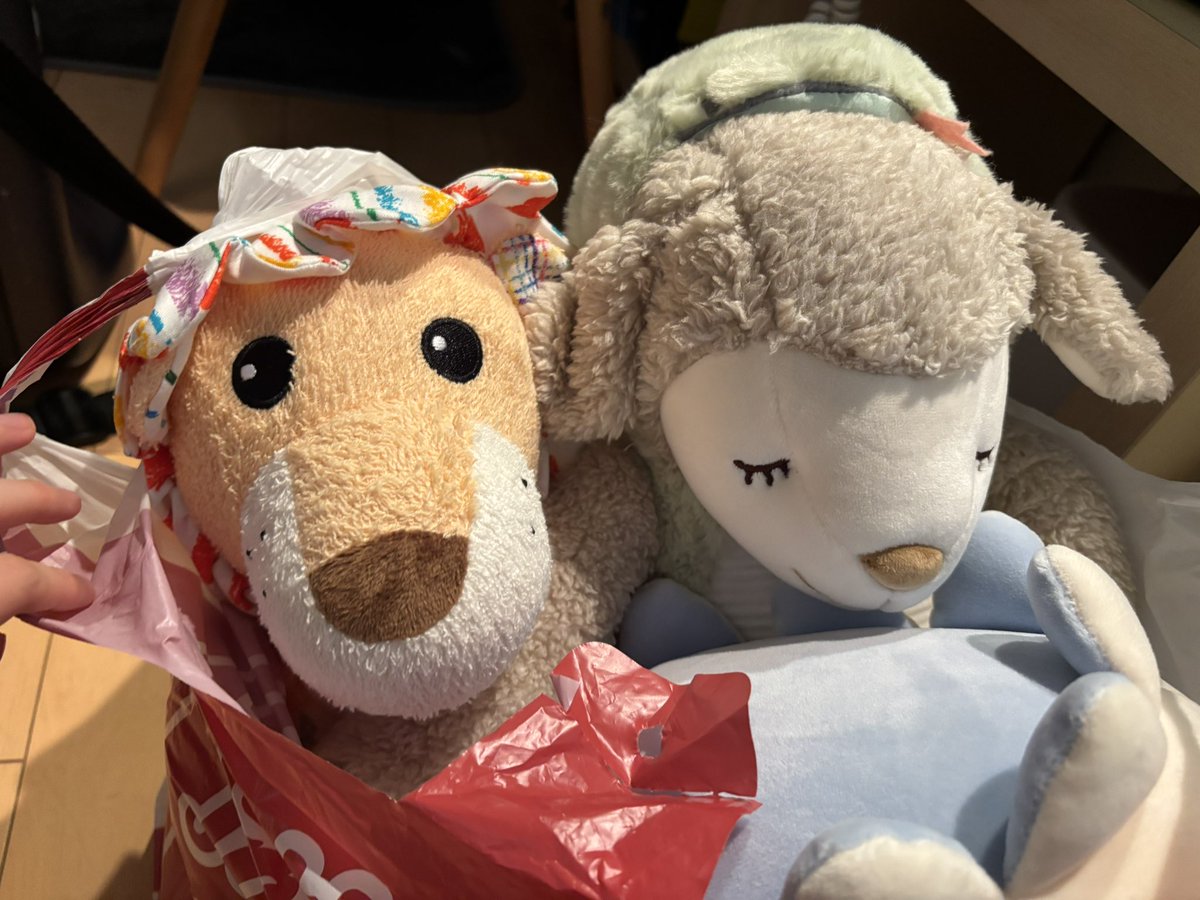 _aomomomo's tweet photo. 今年もりぶはあとさんのバザールに行ってきました
メイプルと新しく家族になった子たち！ https://t.co/GrGO6QmoC0