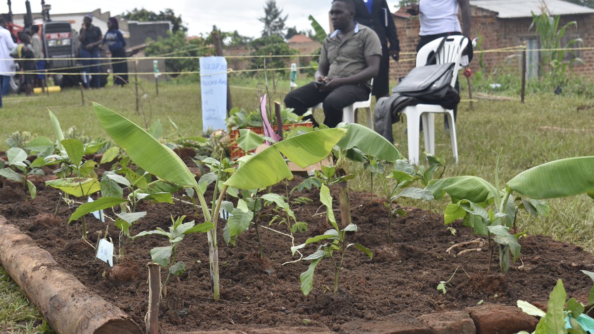 The EU Deforestation Regulation (EUDR) covers seven key commodities linked to deforestation and forest degradation. These commodities are ¹:
- Cattle: Includes live cattle, beef, and leather products, such as shoes, handbags and belts.
- Cocoa: Encompasses cocoa beans, cocoa