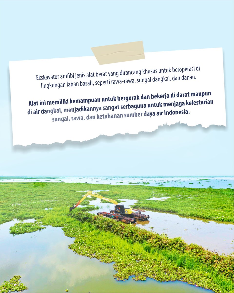 Үлкен семіз есектер BBWs