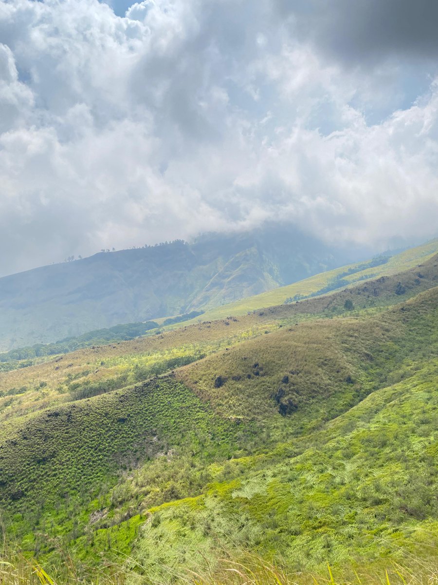 Nwam_bugo's tweet image. GM CT OGs

Drop a gm