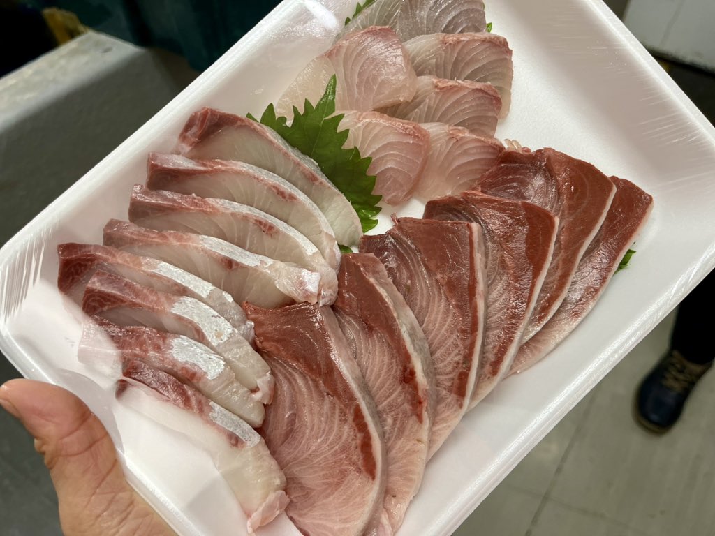 43 福井県産　天然山採り　リョウブ 43 福井県産 天然山採り リョウブ