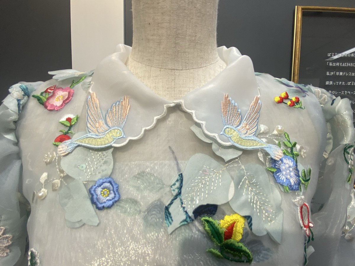 ぱるるページ❤️ ぺるとら🐯 (@perunyan8660330) / Posts / X