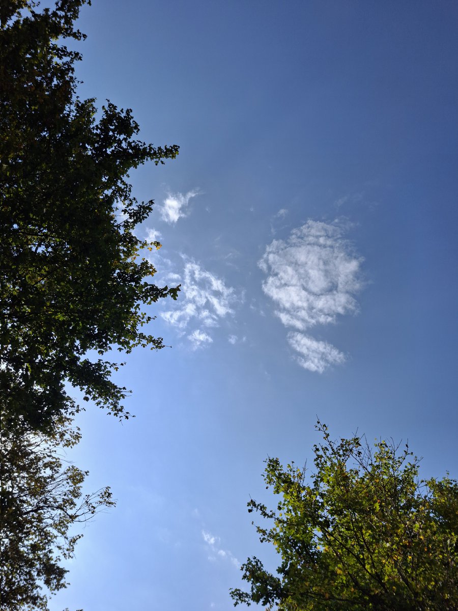 mstmoj's tweet image. مهر🍂