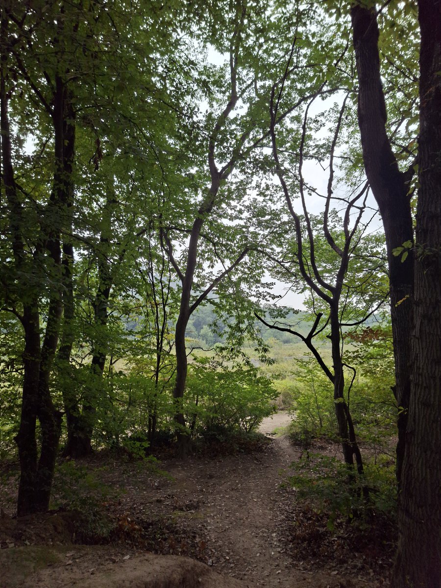 mstmoj's tweet image. مهر🍂