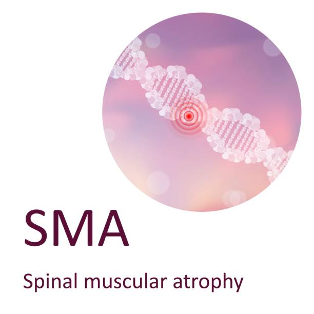 GroupRahsa's tweet photo. I just published Spinal Muscular Atrophy (SMA): Genetics, Symptoms, and Hope for Treatment https://t.co/NXT1YF2Ob0 https://t.co/JEBTXVBcx3