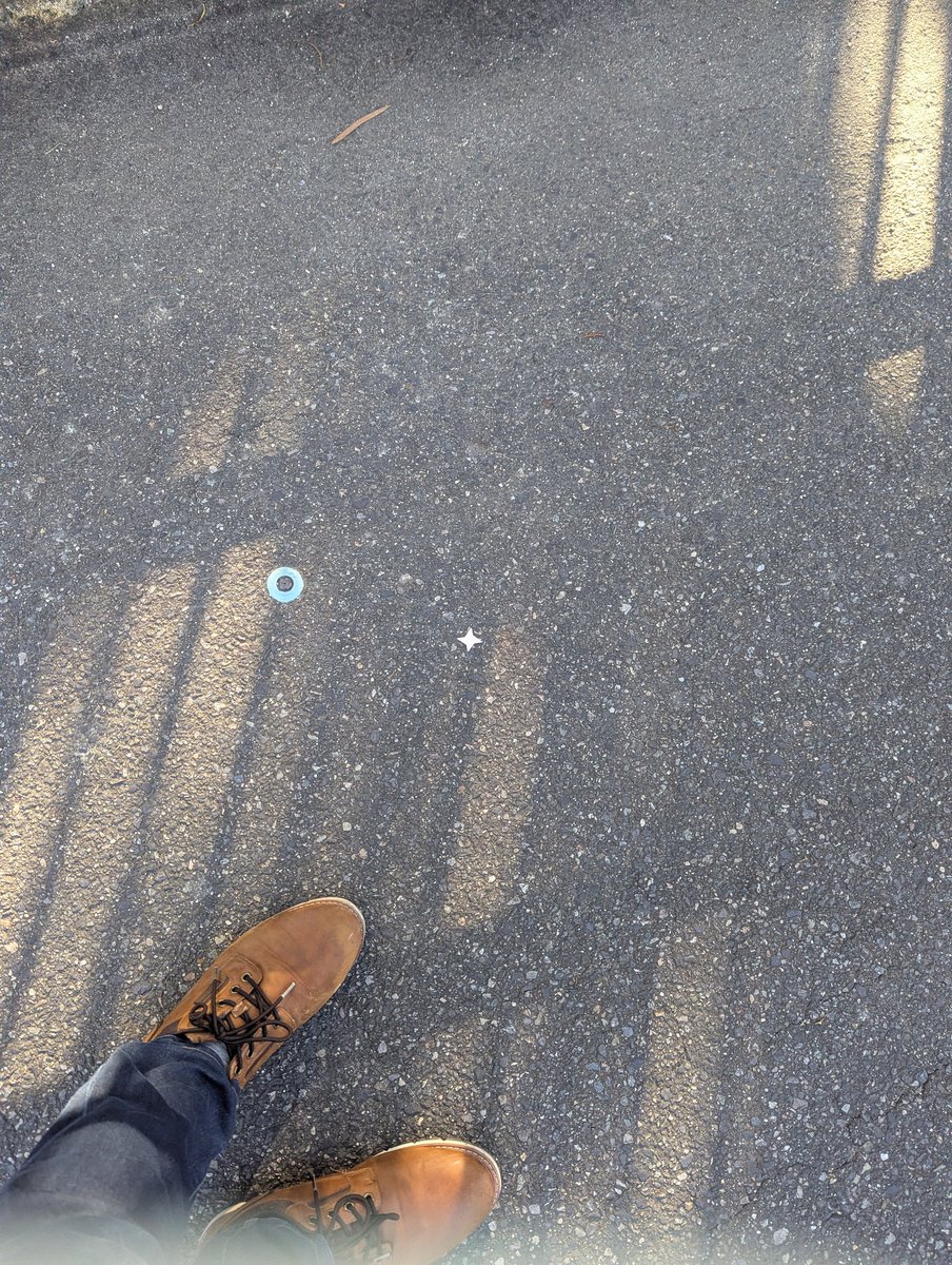 もりやみつよ 三ツ矢 アサヒ THE檸檬 500ml ペットボトル 24本入 炭酸飲料 ザ