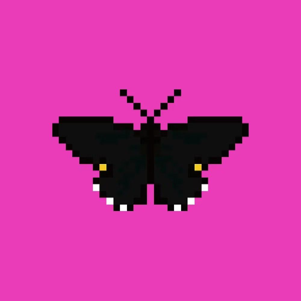 Hash_Butterfly's tweet photo. GM guys 🌞

Quick reminder, at Hash Butterfly, we are not just creating NFTs.

We’re building a world where art grows with people, where every creator, holder, and action adds life to the ecosystem. 

It’s not just digital art , it’s living art. https://t.co/881Ia9oOgq