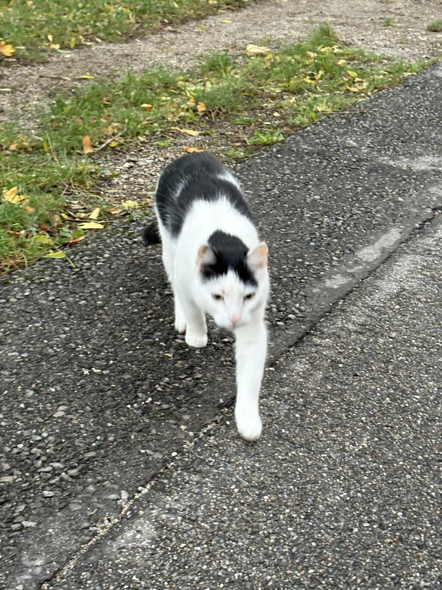 ArtoisLibra's tweet image. #workinglady #dressedforsuccess Zischfrisch auf in den Tu’ es-Day - heute wieder eine Veranstaltung, aber hoffentlich zivilisierter als gestern. 
Es kommt ein sehr netter Altherr, der mich mit seiner Kreativität immer wieder überrascht. Ein elegant -humorvoller Sir, freu‘ 

1/☁️