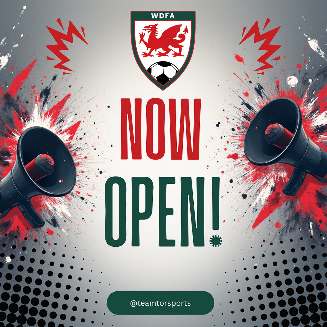 Wales Deaf Football Association tweet media