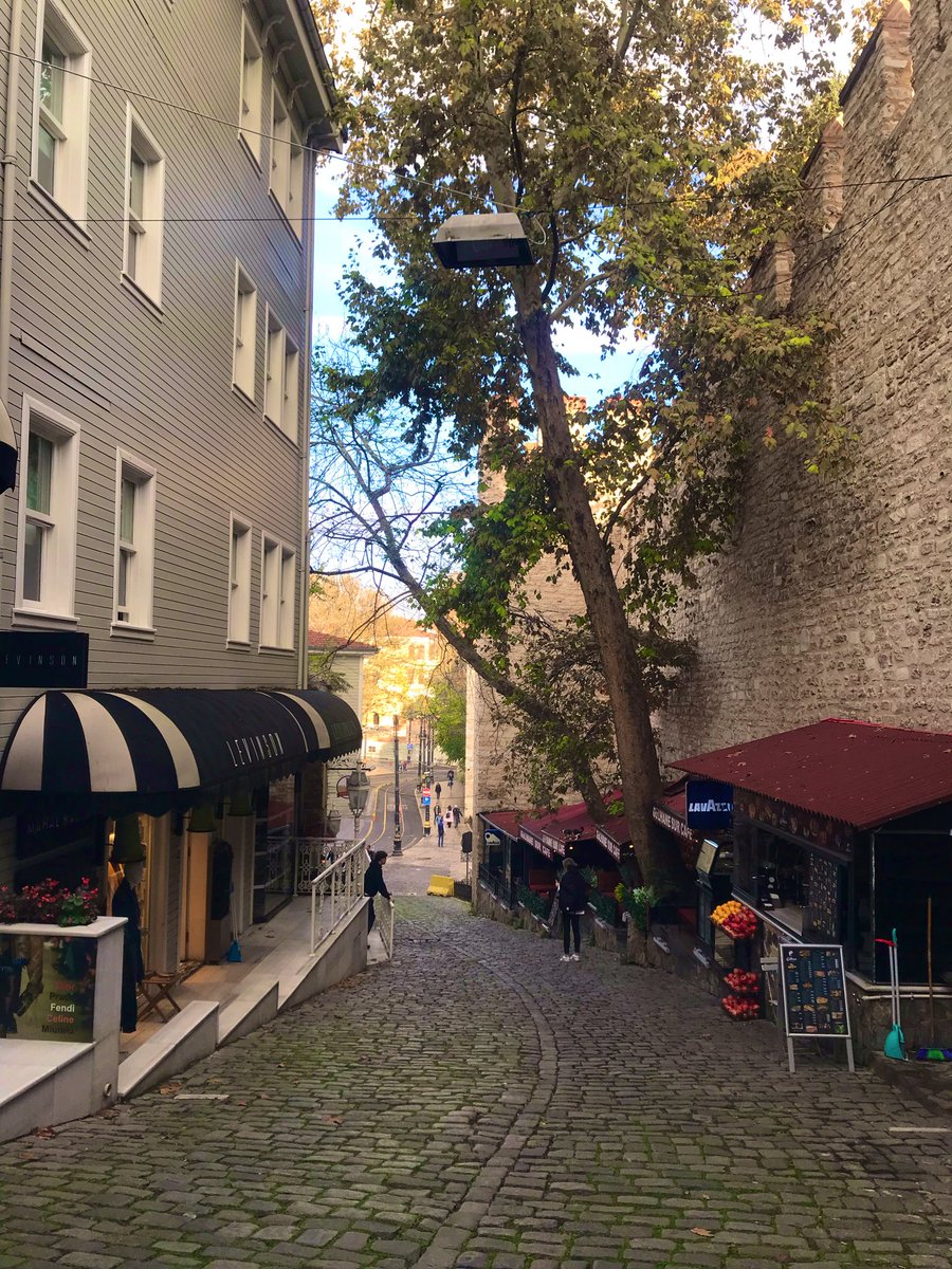 🤝☕️
Değerli Dostlarım.
Sevgili Arkadaşlarım.
Güzel Bir Güne.☕️🍫
Sevgiye Umuda Huzura..💫
#KocamanBirGünaydın.☀️ 
İşiniz Gücünüz Rast Gelsin.
Güzel Yüreğiniz.🍃💛❤️🍃
Yorgunluk Görmesin.
Her Şey Gönlünüzce Olsun.
Selam Saygı Ve Sevgiyle.
🇹🇷💫🍃🌼🌺🍃💫🇹🇷